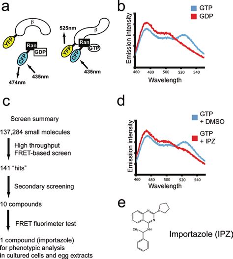 A High Throughput Screen Identifies Importazole As An Inhibitor Of Fret