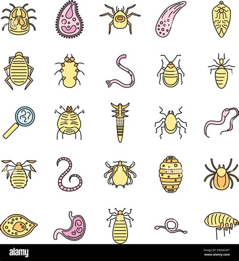 Parasite Insect Icons Set Outline Set Of Parasite Insect Vector Icons