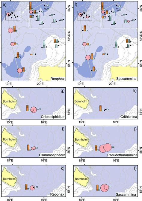 Distribution Of Benthic Foraminiferal Genera In The Surface Sediments