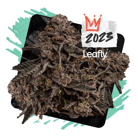 Permanent Marker Weed Strain Information Leafly