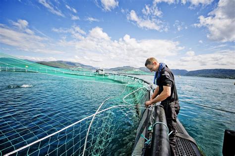 Resources Aquaculture Stewardship Council