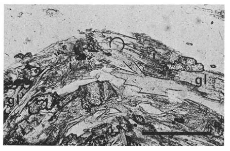 Figure 7 From METAMORPHIC EVOLUTION AND FOLD HISTORY IN THE ECLOGITIC