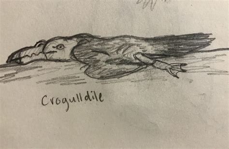 Seagull in the niche of a crocodile : SpeculativeEvolution