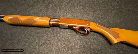 Remington Fieldmaster Model 572 Buckskin Tan 22 S L Lr