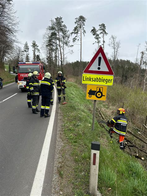 Baum Ber Stra E Am Auf B Feuerwehr Nitscha