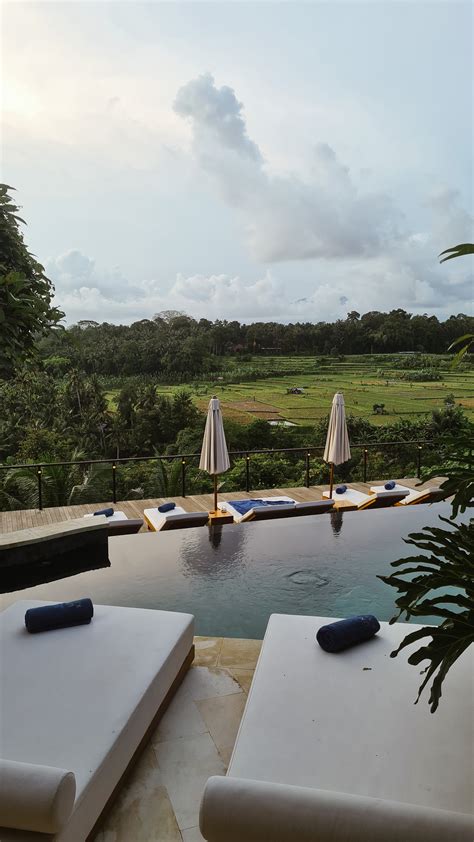 Breathtaking Views in Ubud - Discover Uma Kalai - Sneakpeek