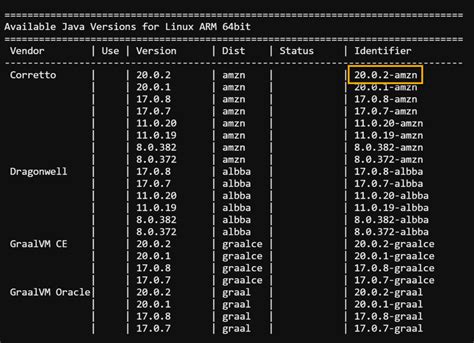 Java on Raspberry Pi : Learn How to Install