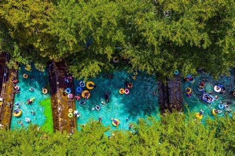 자연휴양림이 주는 한여름 이색 피서 