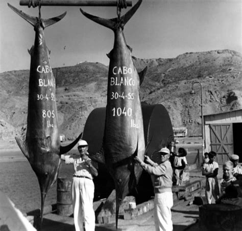 Biggest Marlin Ever Caught