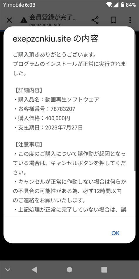 緊急です！！！pornohubのサイトを開けて年齢確認があったのではいと押し Yahoo知恵袋