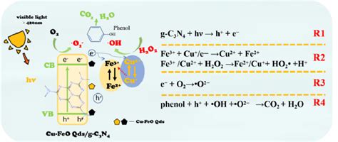 Mechanism For Phenol Degradation By Fe CuO Qds G C3N4 H2O2 Vis System