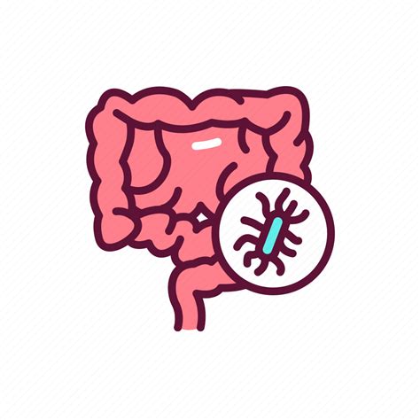 Gut Bacteria Stomach Icon Download On Iconfinder