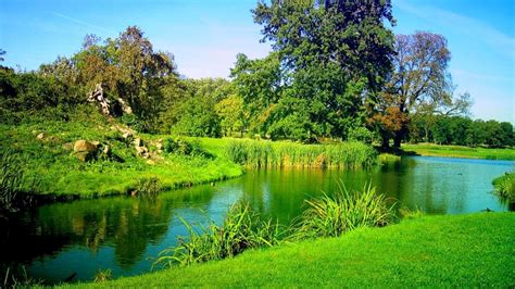 Serene Nature HD Wallpaper Of Trees And A Lush Green River