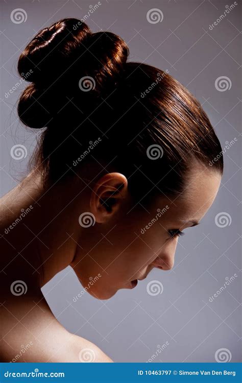stylish hair stock image image  woman hairstyle elegant