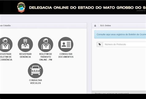 Sinpol Ms Delegacia Virtual Amplia Op Es Para Registro De Ocorr Ncias