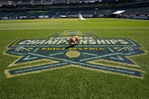 NCAA Men's Lacrosse: Penn State Returns to Philadelphia for NCAA Men's ...