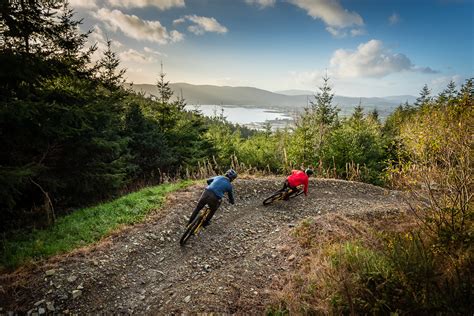 home mountain bike ni
