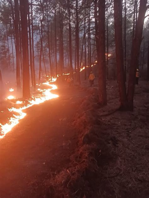 Combaten Brigadistas 20 Incendios Forestales El Pueblo