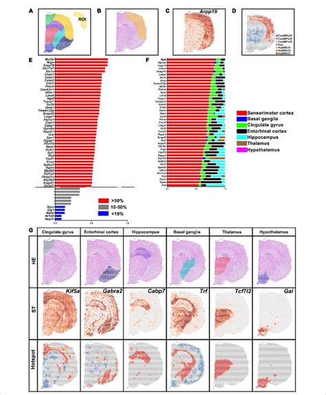 Differentially Expressed Genes DEGs In The Different Brain Regions