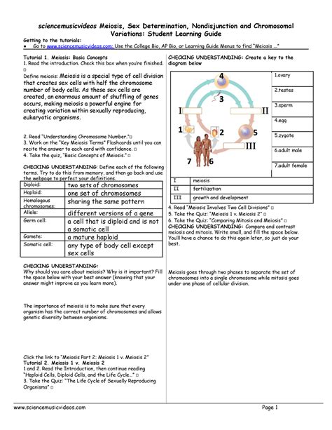 AP Biology Meiosis And Chromosomal Variation Sciencemusicvideos Meiosis Sex Determination