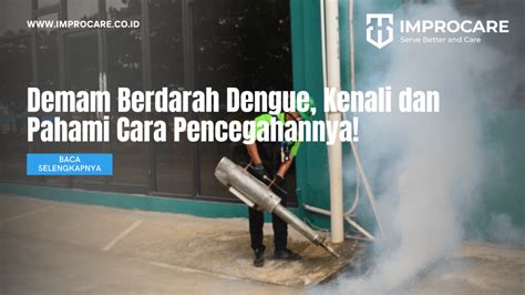 Demam Berdarah Dengue Kenali Dan Pahami Cara Pencegahannya PT