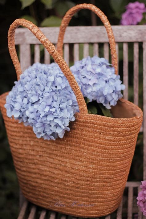 Blue Hortensia I Love Blue