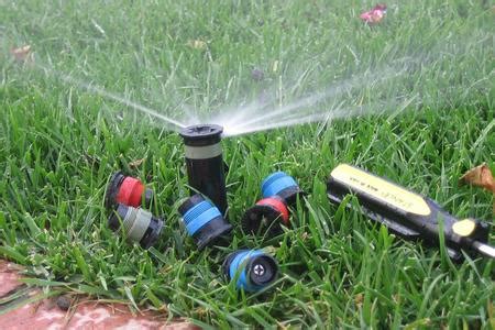 Sprinkler Head Repair