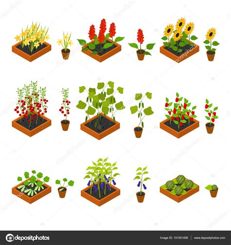 Planta De Pl Ntulas Y Elementos Set Isom Trico Vista Vector