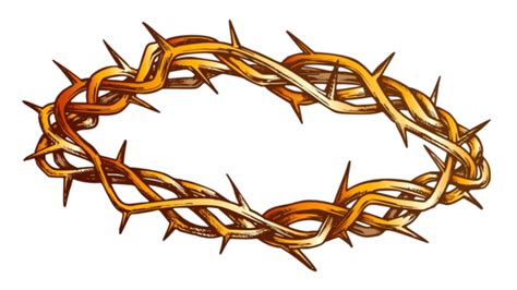 Crown Of Thorns PNG Transparent Images Free Download | Vector Files | Pngtree