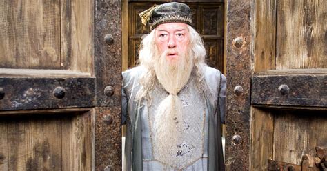 The Internet Made Dumbledore Gay Wired