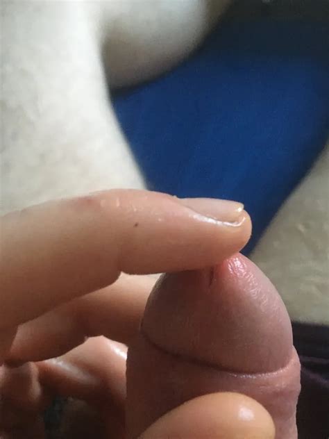 Oiled Hairy Cock Pre Cum Play 34 Nude Pics XHamster