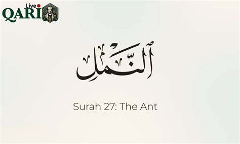 Best Guide: Surah Naml Verse 62 Benefits And Real Stories