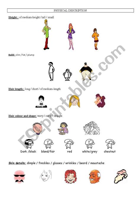 Physical Description ESL Worksheet By Ngoc86