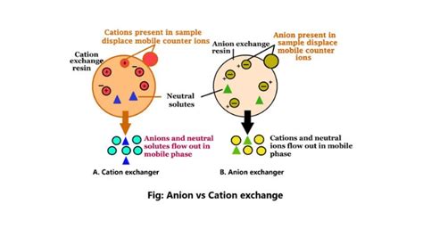 Anion Exchange Vs Cation Exchange Chromatography Sciencequery