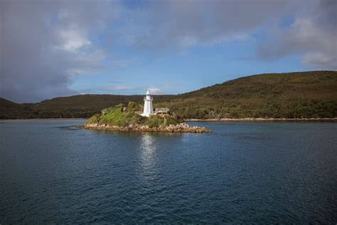 Where To See Penguins In Tasmania