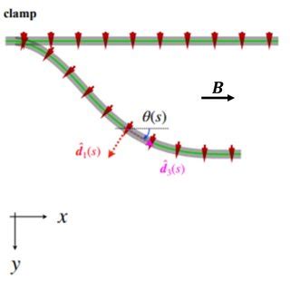 Sketch of the rod geometry, taken from [1]. All the relevant torques ...