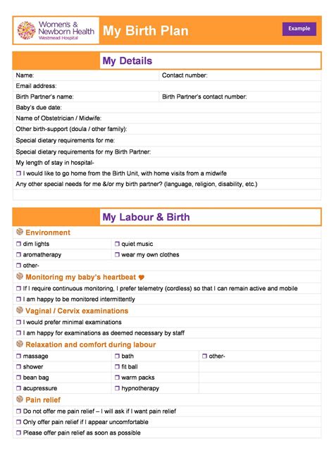 47 Printable Birth Plan Templates Birth Plan Checklist Templatelab