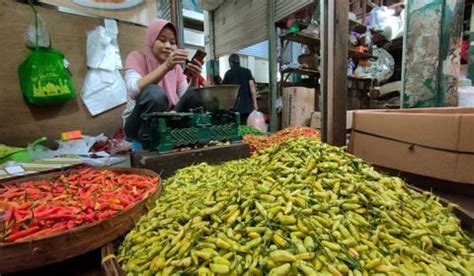 Kemendagri Minta Pemda Perhatikan Harga Cabai Merah Dan Cabai Rawit