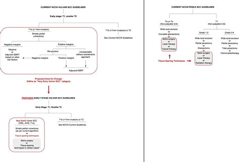 Vulvar Squamous Cell Carcinoma Guidelines Do Not Include Tis