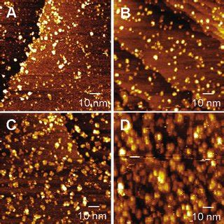 Stm Images Nm Of Os Modified Au Recorded At V