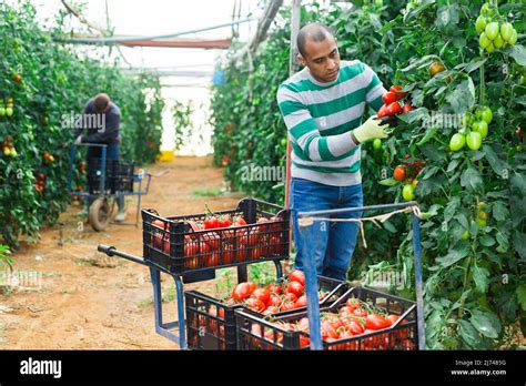 Multinacional Mexicana Fotograf As E Im Genes De Alta Resoluci N