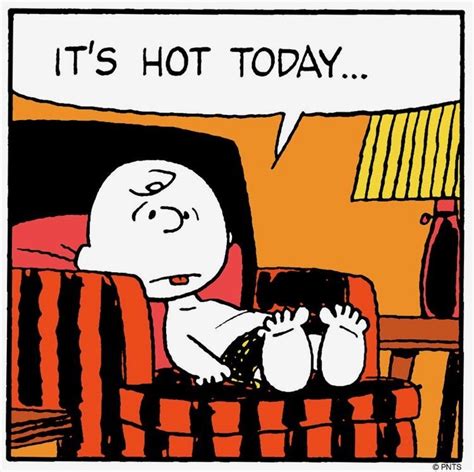 Peanuts Its Hot Today Snoopy Funny Snoopy Love Snoopy Pictures