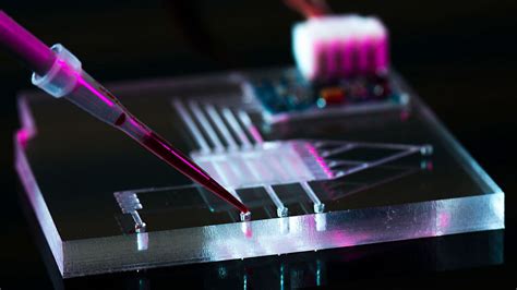 Microfluidic system with cell-separating powers may unravel how novel pathogens attack | Texas A ...