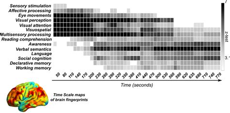 Brain Fingerprints Associates With Behavior Across Time Scales The