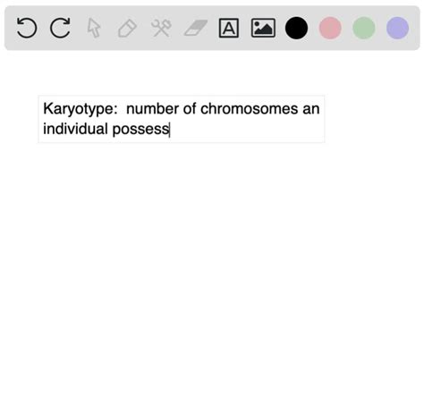 Solved Karyotype Individual Is A Number Of Chromosomes What Is The