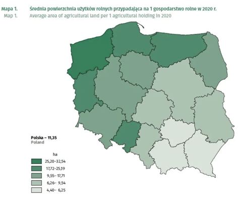 Struktura Polskich Gospodarstw Na Znaczeniu Zyskuj Du E Podmioty