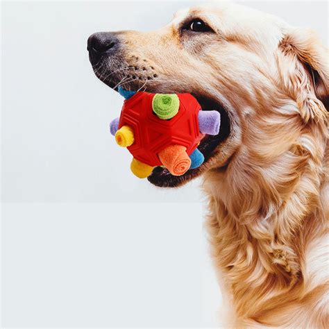 NASIQXB Interactive Dog Toys Food Leakage Placed Encourage Natural ...