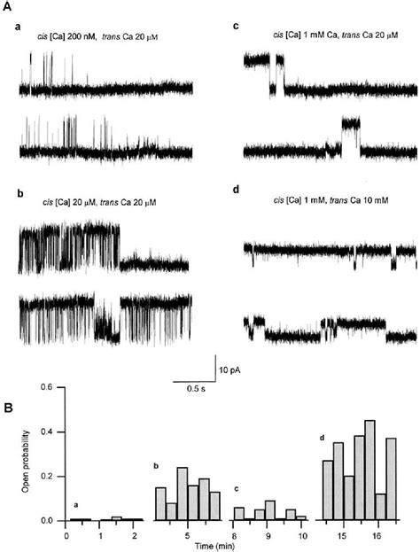 Figure From Regulation Of The Cardiac Ryanodine Receptor Channel By