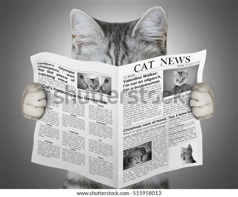 Cat Reading Newspaper Stock Photo 515958013 | Shutterstock