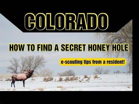 How To Find Elk In Colorado Otc Units Using Onx E Scouting Tips From A